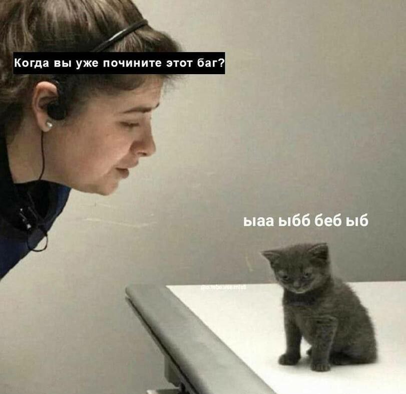 meme