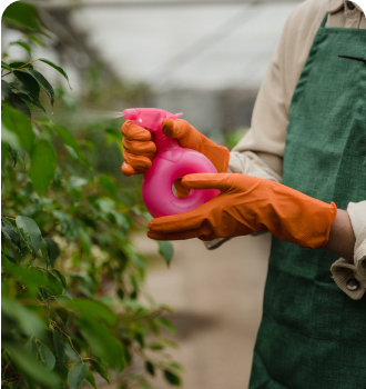 plant sprayer